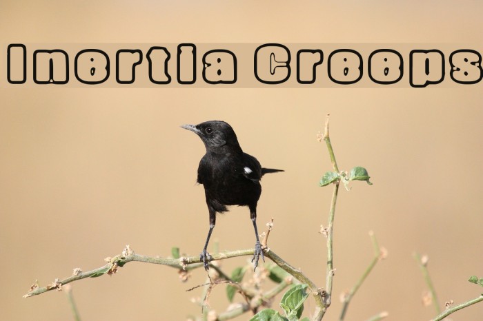 Inertia Creeps Font examples