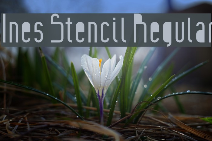 Ines Stencil Regular Font examples