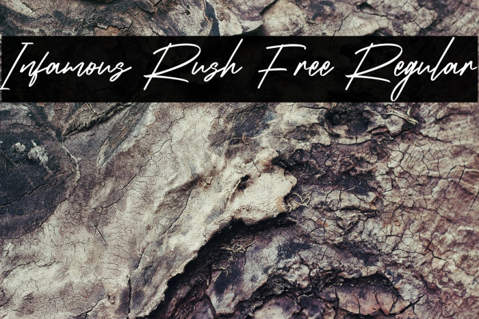 Infamous Rush Free Regular Example 2