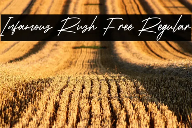 Infamous Rush Free Regular Example 3