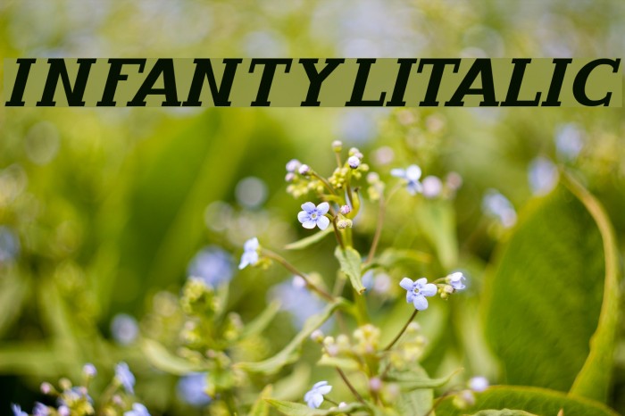 InfantylItalic Font examples
