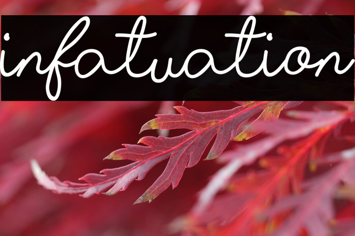 Infatuation Example 1