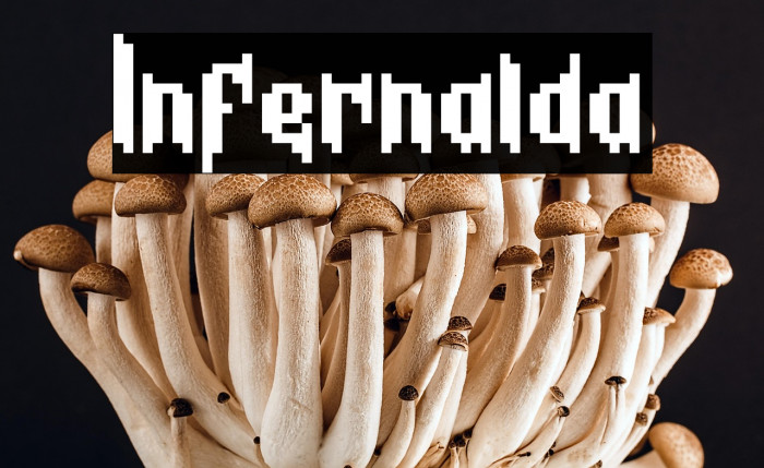 Infernalda Example 3