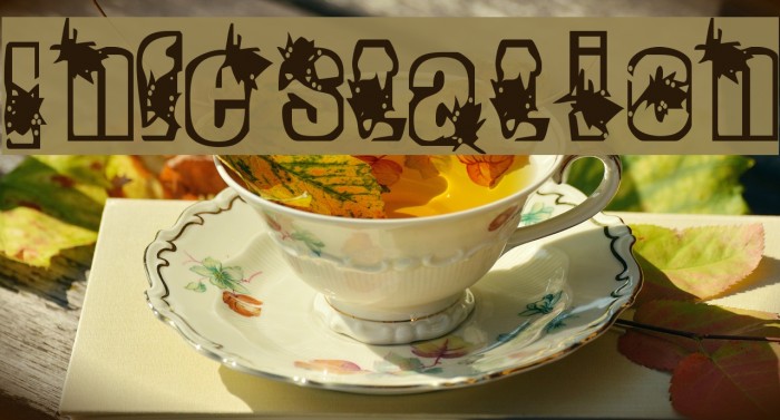 Infestation Font examples