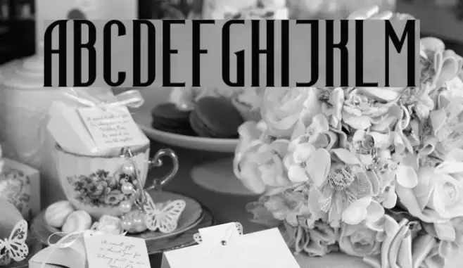 Infidelity Abnormal Font examples