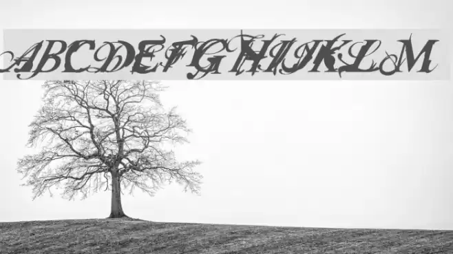 Infiltrace Italic Font examples