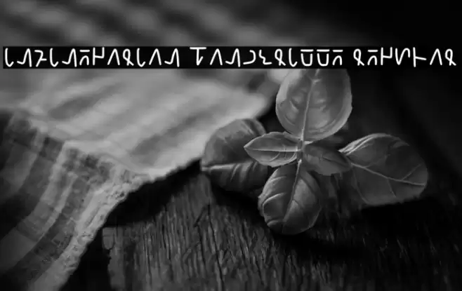 Infinegarian Handwritte Regular Font examples