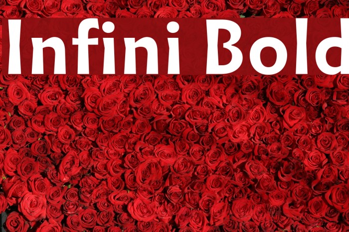 Infini Bold Font examples