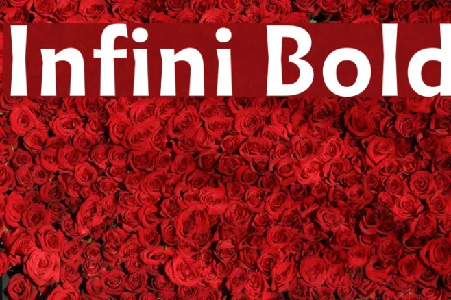 Infini Bold Example 3