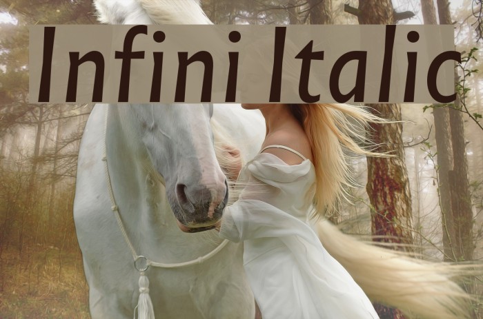 Infini Italic Font examples
