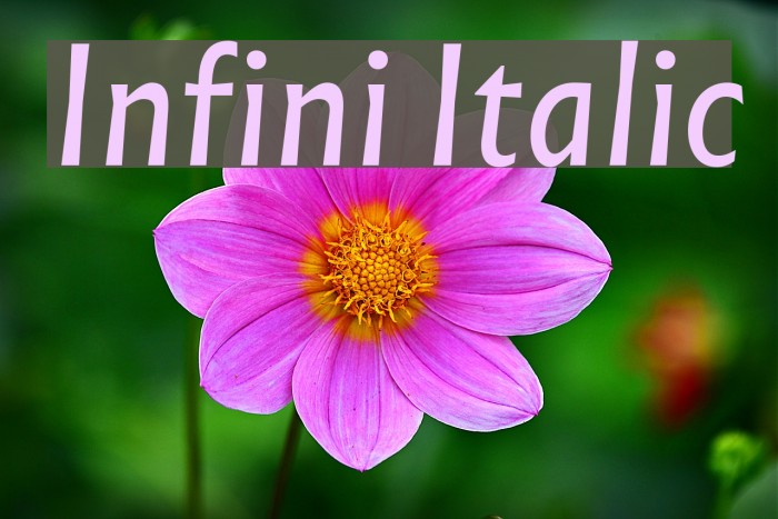 Infini Italic Font examples