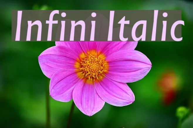 Infini Italic Example 2