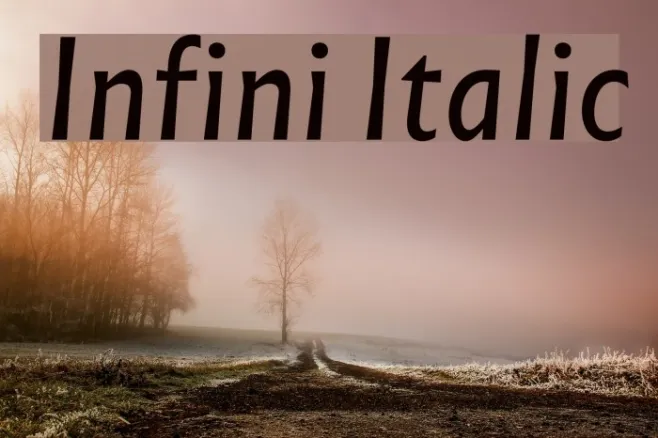 Infini Italic Example 3