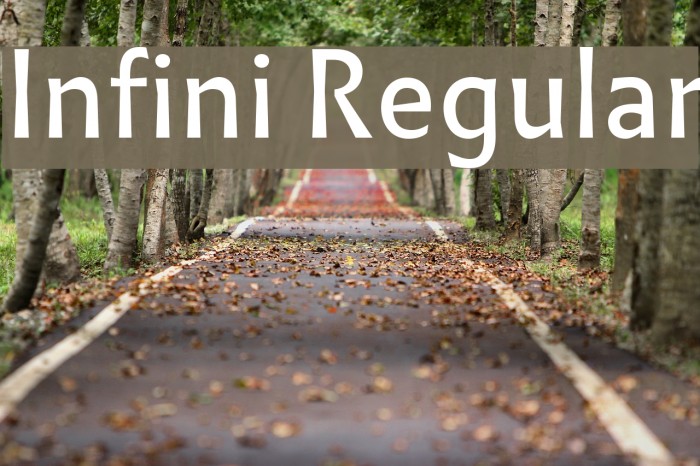 Infini Regular Fuentes examples
