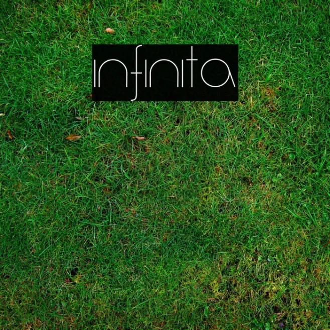 Infinita Example 1