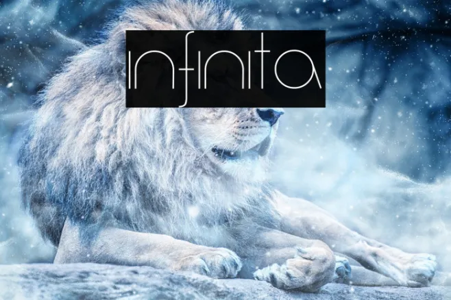 Infinita Example 2