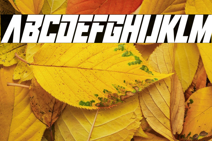 Infinite Darkness Italic Example 2