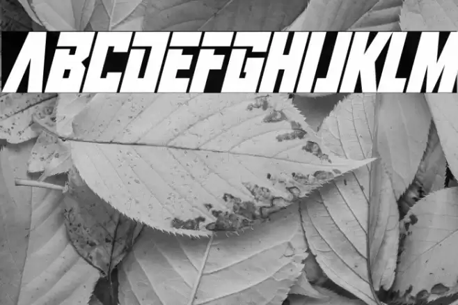 Infinite Darkness Italic Font examples