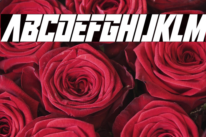 Infinite Darkness Italic Example 3