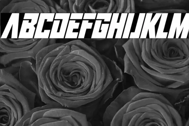 Infinite Darkness Italic Font examples