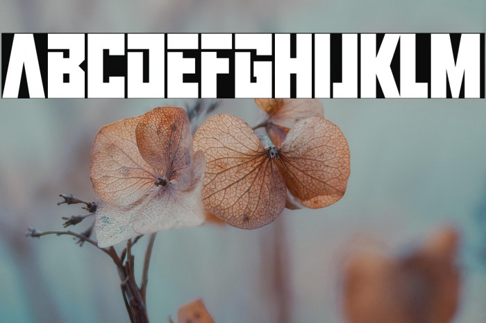 Infinite Darkness Example 3