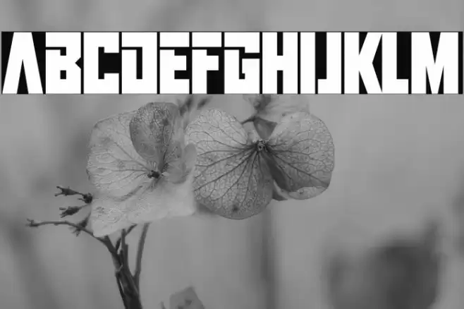 Infinite Darkness Font examples