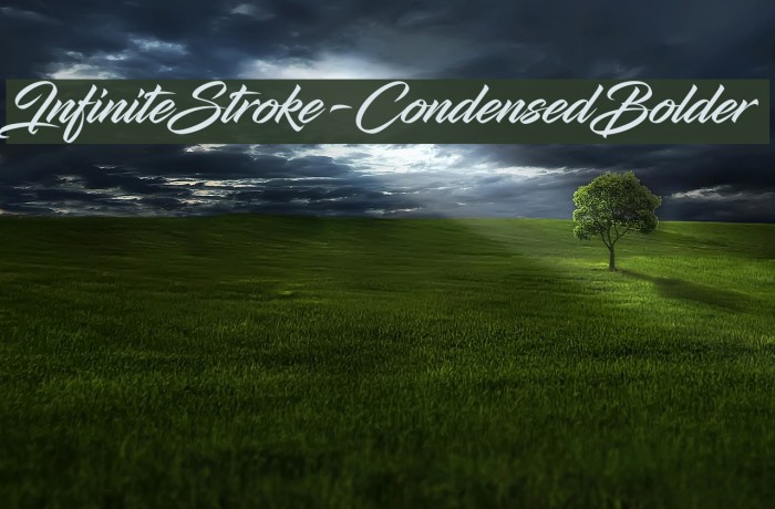 InfiniteStroke-CondensedBolder Font examples
