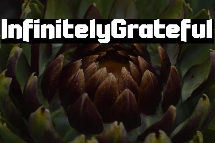 Infinitely Grateful Example 1