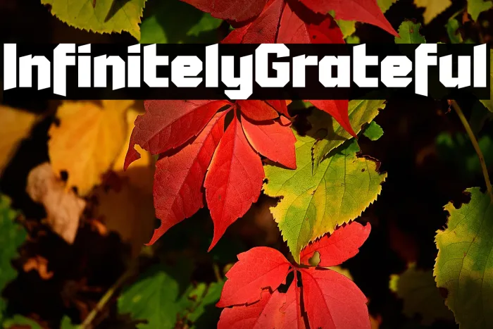 Infinitely Grateful Example 2