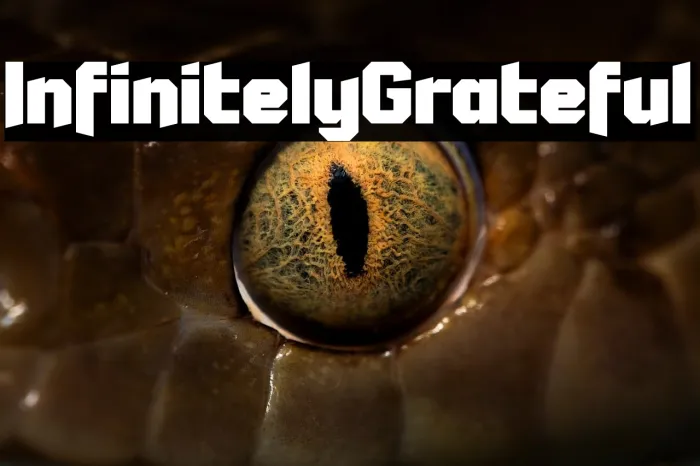 Infinitely Grateful Example 3