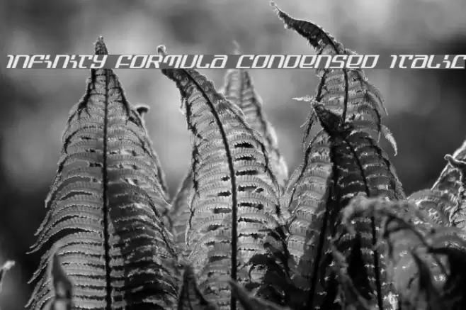 Infinity Formula Condensed Italic Шрифта examples