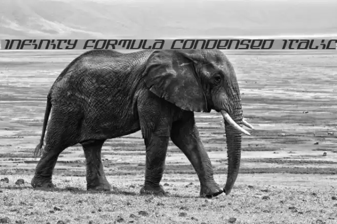 Infinity Formula Condensed Italic Шрифта examples