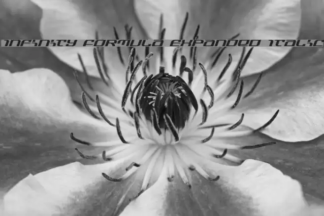 Infinity Formula Expanded Italic Font examples