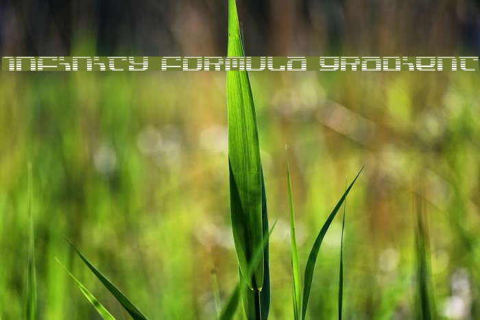 Infinity Formula Gradient Caratteri examples