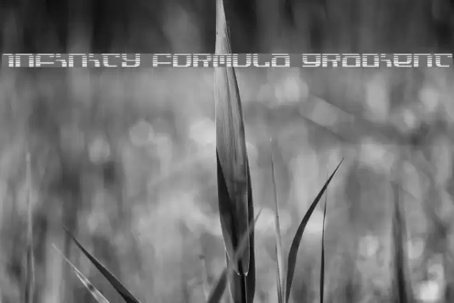 Infinity Formula Gradient Шрифта examples