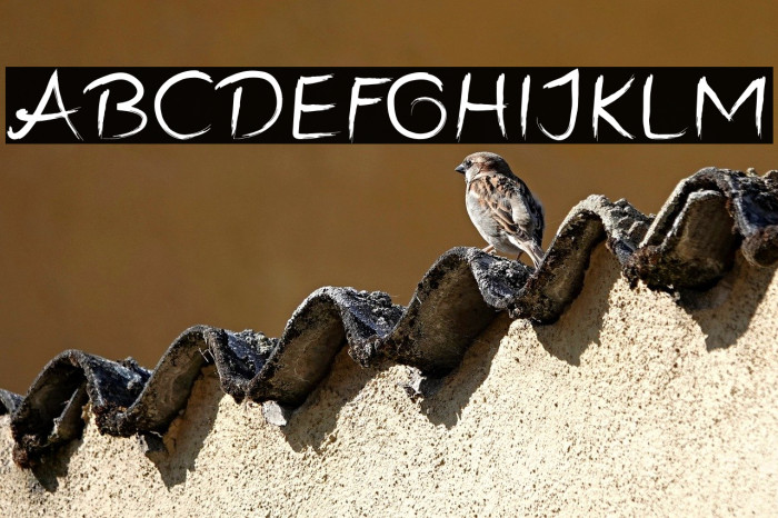 Infinity Freaks Example 2