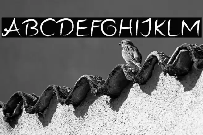 Infinity Freaks フォント examples