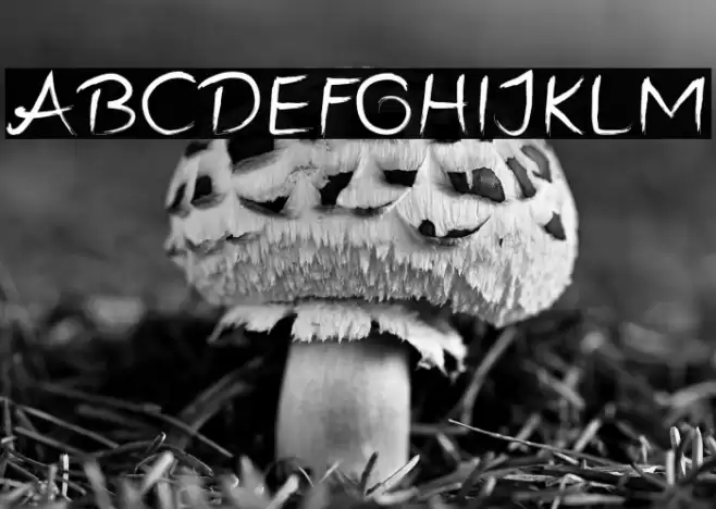 Infinity Freaks フォント examples