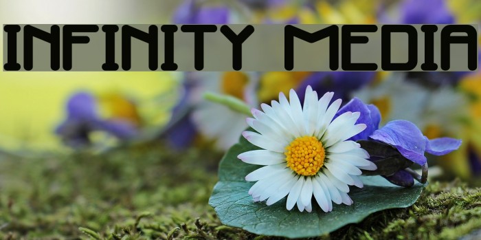 Infinity Media Font examples