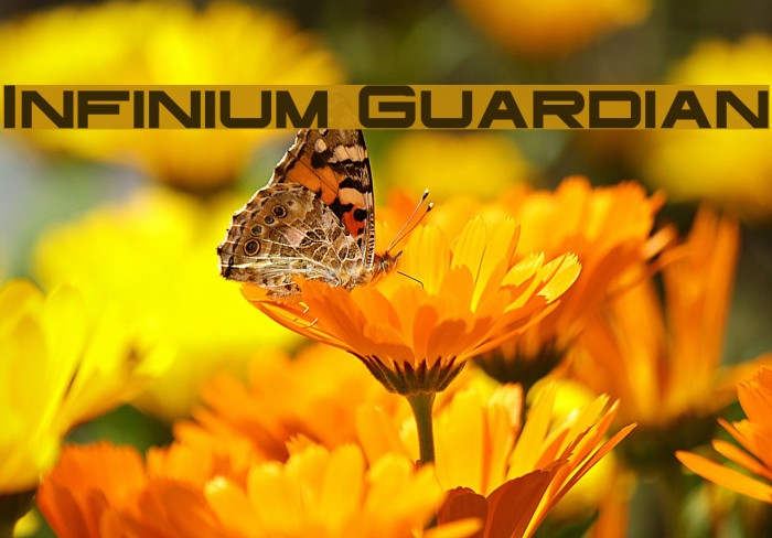 Infinium Guardian Font examples