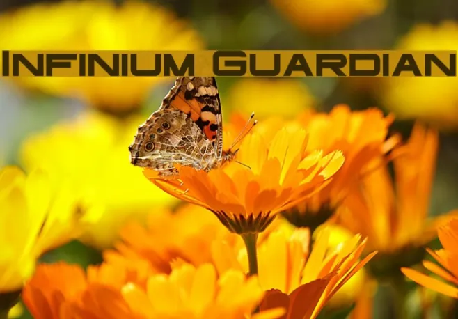 Infinium Guardian Example 1