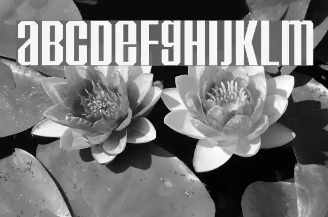 Inflammable Age Font examples