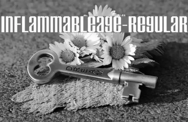InflammableAge-Regular Font examples