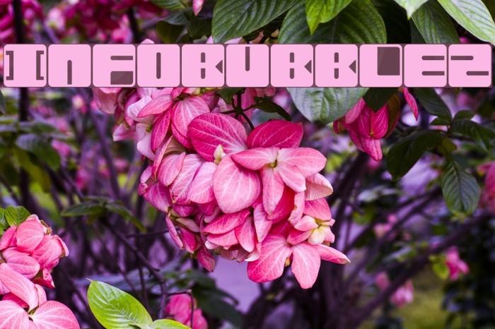 Infobubble2 Font examples