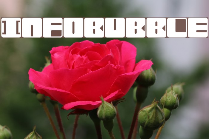 Infobubble Font examples