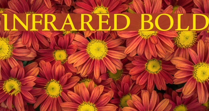 InfraRed Bold Font examples