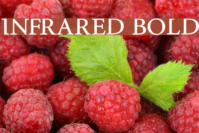 InfraRed Bold Font examples