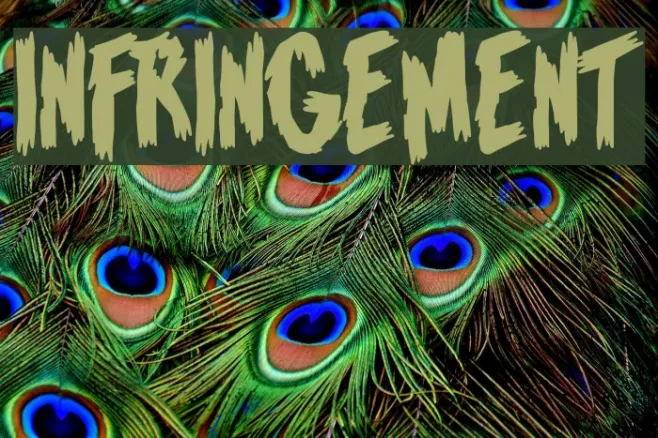 Infringement Example 1