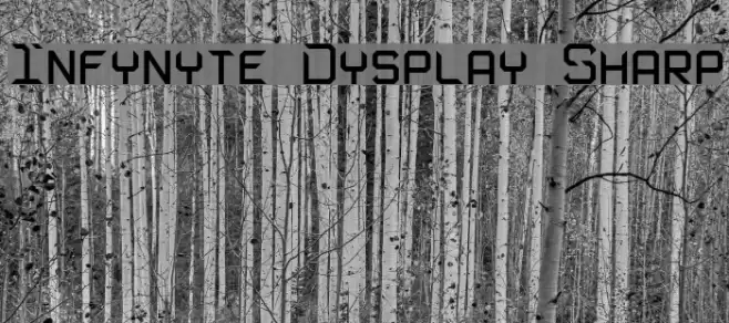 Infynyte Dysplay Sharp Font examples