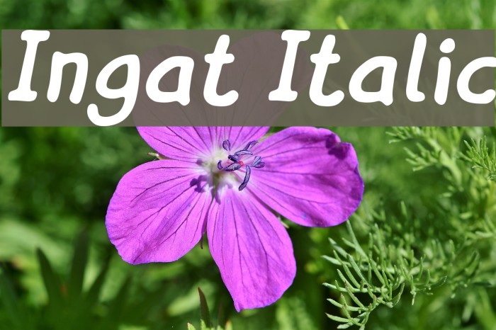 Italics examples